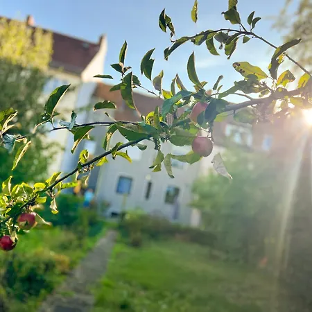 Appartement Immostay #7 -helle Mit Grossem Garten -4 Zimmer, Wifi & Free Parking