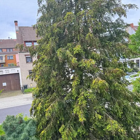 Apartament Immostay #7 -helle Mit Grossem Garten -4 Zimmer, Wifi & Free Parking *