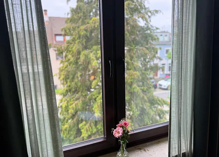 Immostay #7 -helle Mit Grossem Garten -4 Zimmer, Wifi & Free Parking アパート *